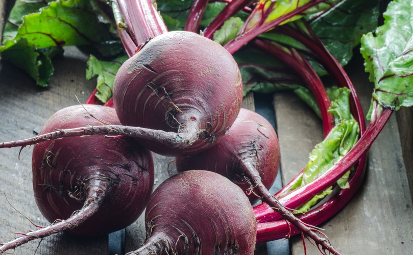 BURAKI (barszcz czerwony)