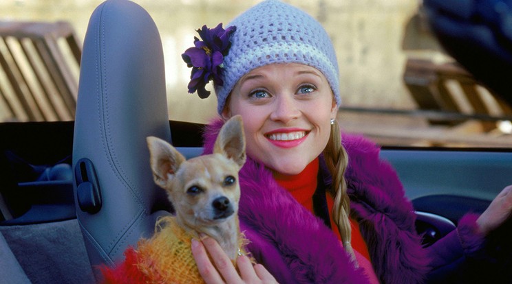 Elle Woods ikonikus karakter, Reese Witherspoon megunhatatlan klasszikus vígjátéka a Doktor Szöszi