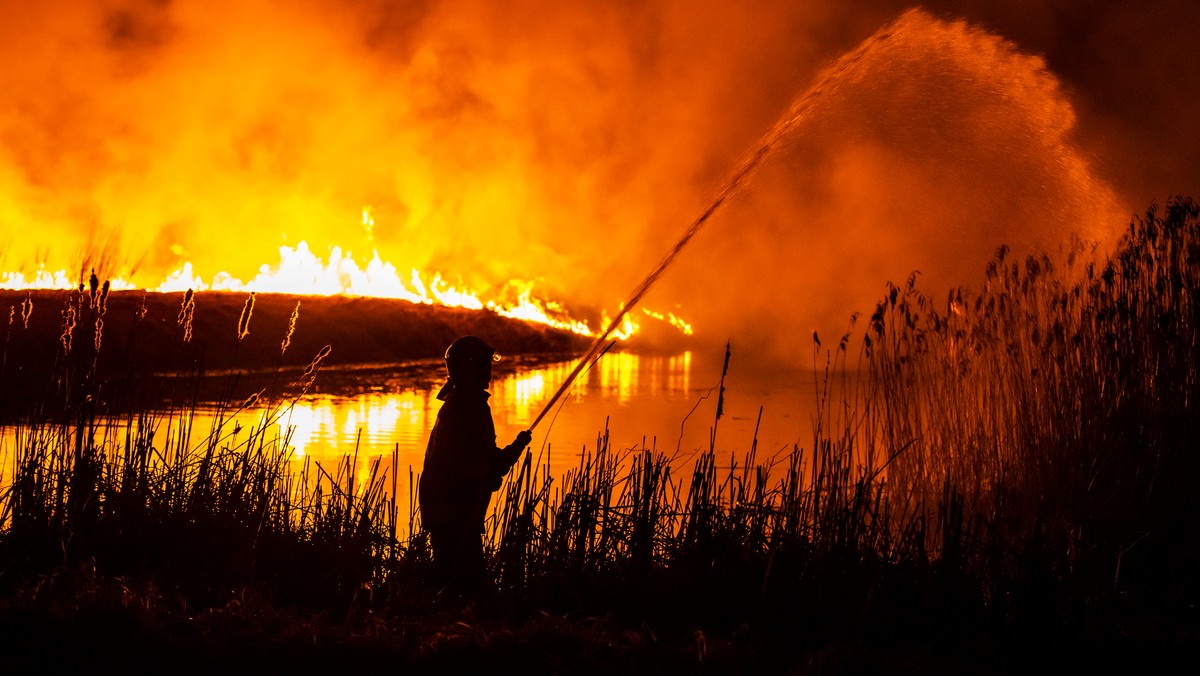 Podlasie: trwa dramat w Biebrzańskim Parku Narodowym