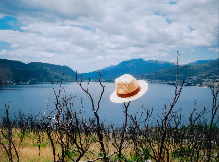 Sesir bez naziva 2012