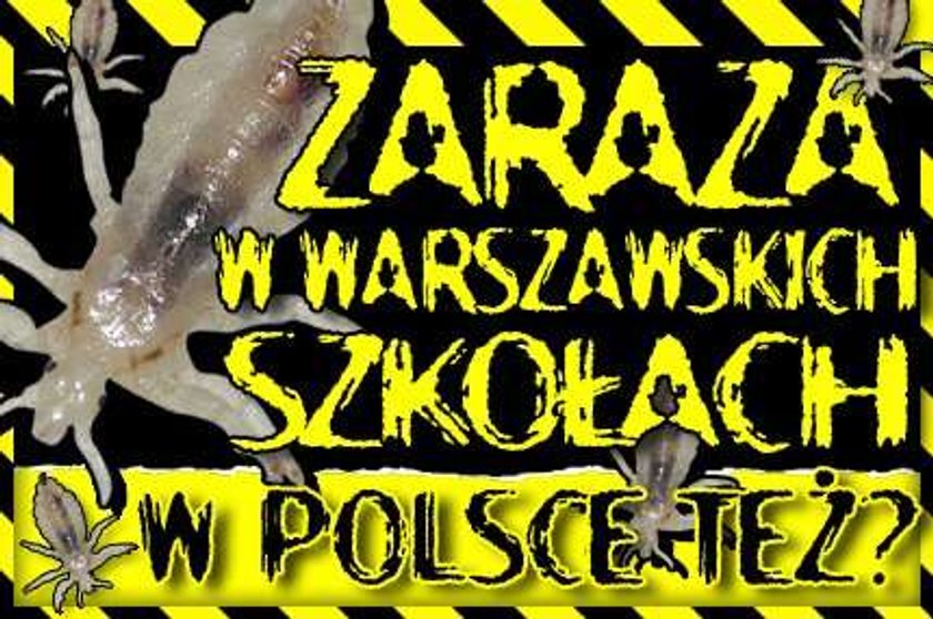 Zaraza w warszawskich szkołach. W Polsce też?