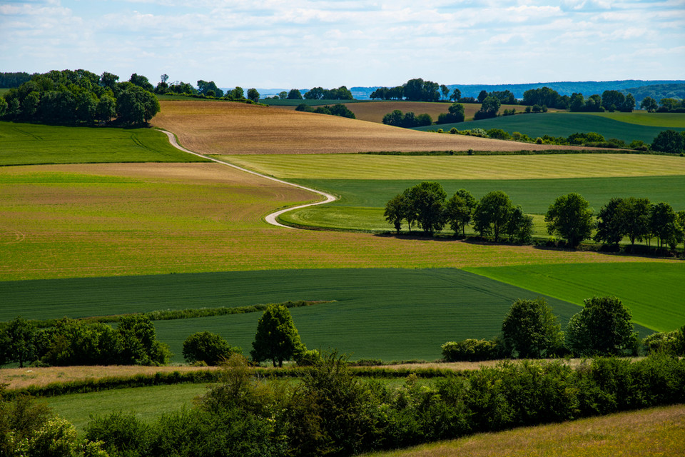 Limburgia, Holandia