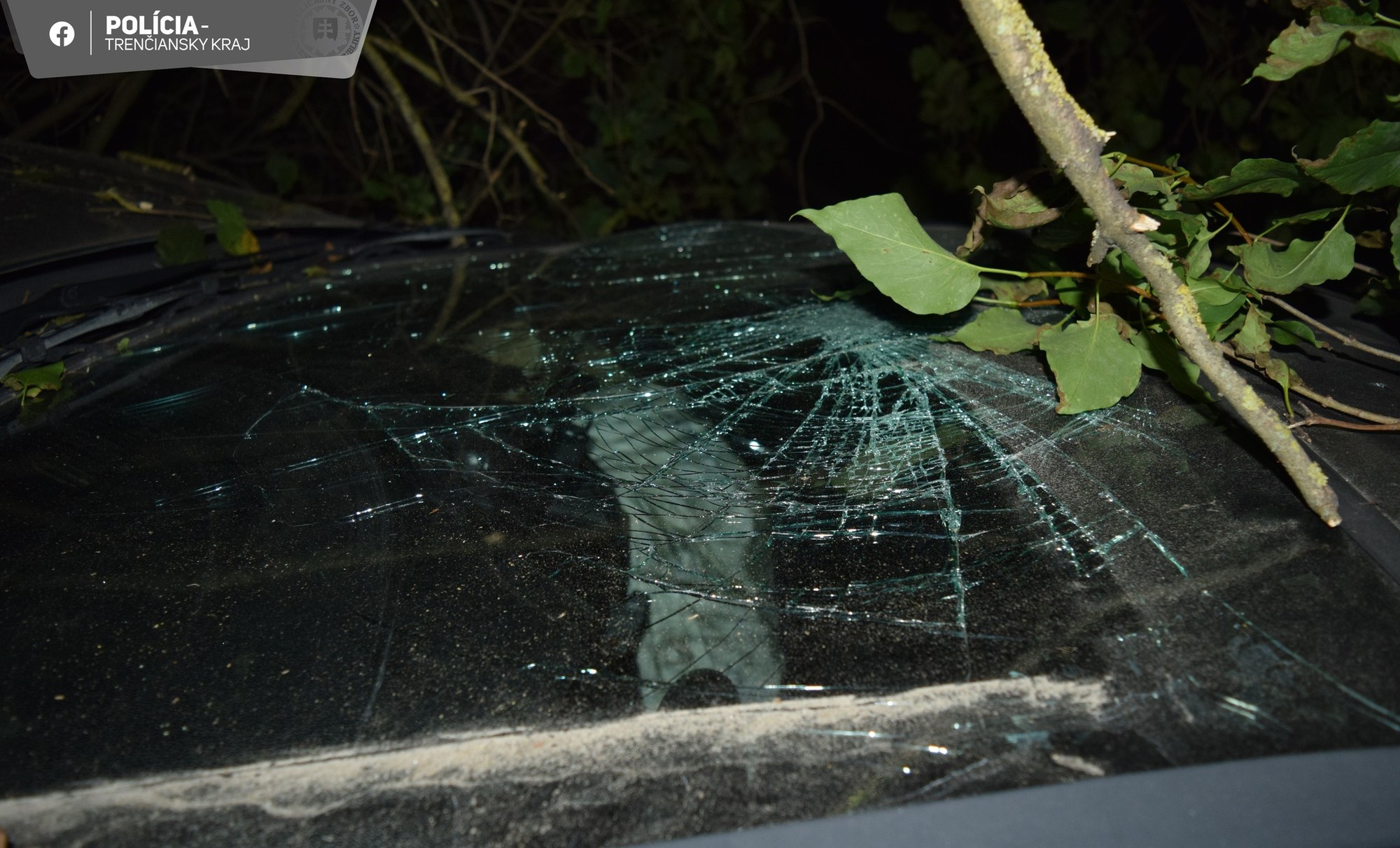 Vodič nechal auto po nehode pri Brezovej pod Bradlom zamknuté v kríkoch.