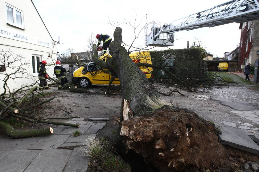 Tragiczny bilans wichury nad Polską