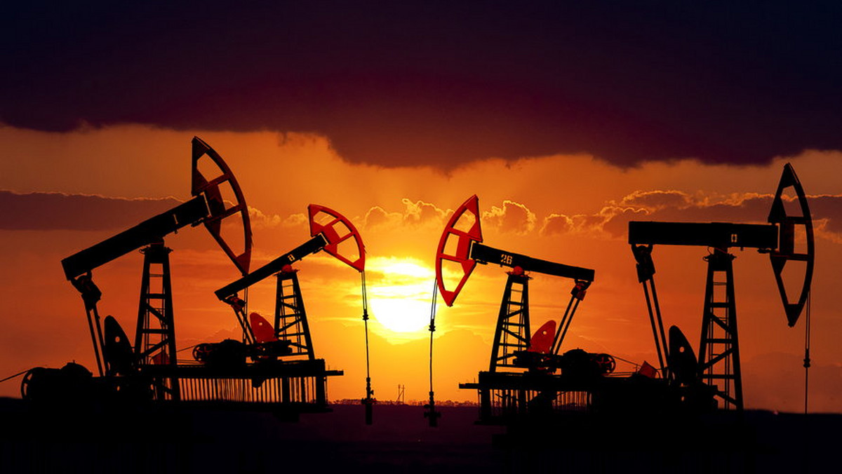 Prognozowany przez Międzynarodową Agencję Energetyczną wzrost wydobycia ropy w Ameryce Północnej nie oznacza, że USA przestaną importować ten surowiec - ocenia dyrektor wykonawcza Agencji Maria van der Hoeven. Jej zdaniem znaczenie Bliskiego Wschodu zmaleje.