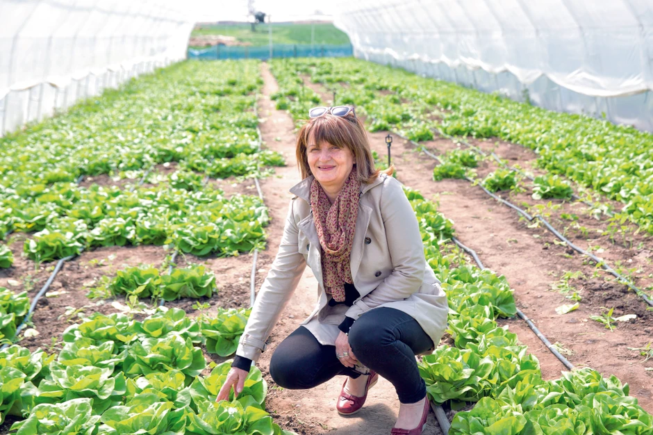 Novac zarađen od prodaje prasića, jagnjića, žitarica, povrća sa zatvorske ekonomije ulažu u bolji standard zatvorenika