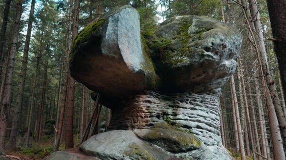 Radkowskie Skały i Skalne Grzyby