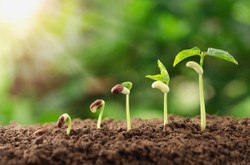 Ten eksperyment trwa ponad 140 lat i wciąż zaskakuje naukowców