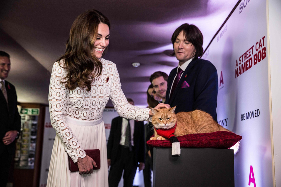 Kate Middleton na premierze filmu "A Street Cat Named Bob"