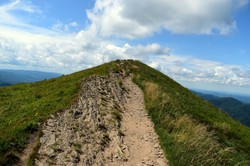 Połonina w ogniu. Z żywiołem walczy osiem zastępów straży