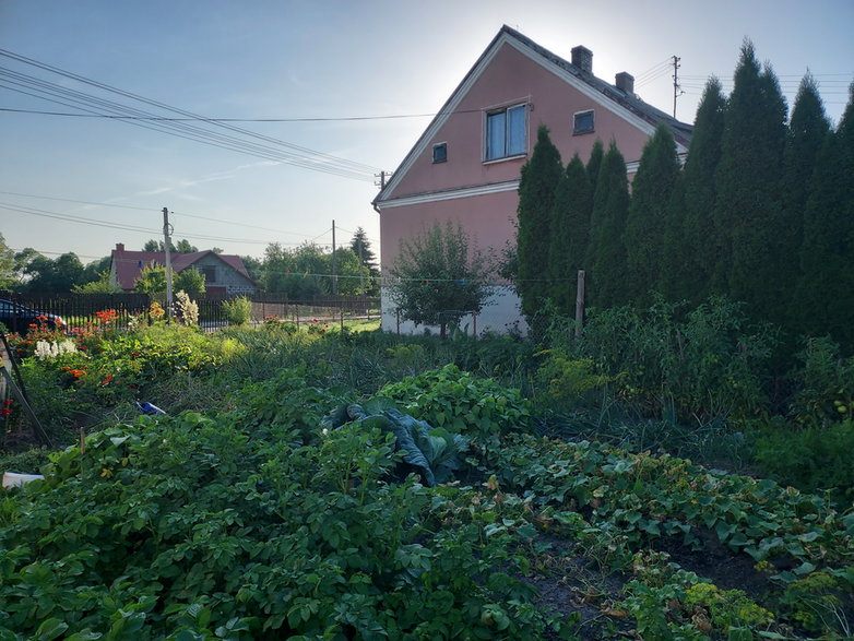 Przydomowy ogród we wsi Kruszewo