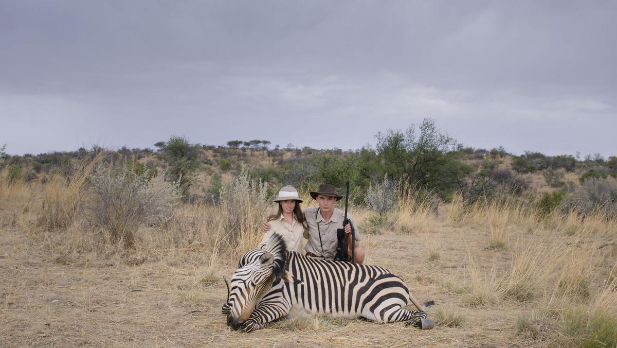 Safari, kadr z filmu