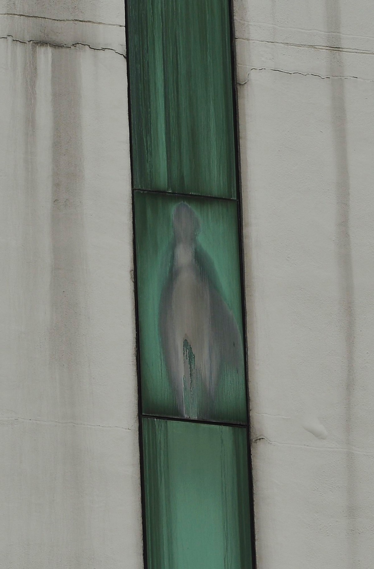 Wizerunek przez niektórych uważany za objawienie Matki Boskiej, na oknie szpitala w Kuala Lumpur