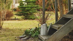 Marzec w ogrodzie [Kalendarz ogrodnika]