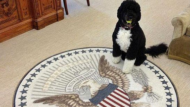 Pies Baracka Obamy sensacją internetu!