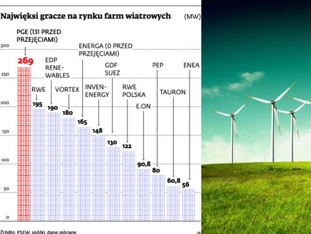 Najwięksi gracze na rynku farm wiatrowych