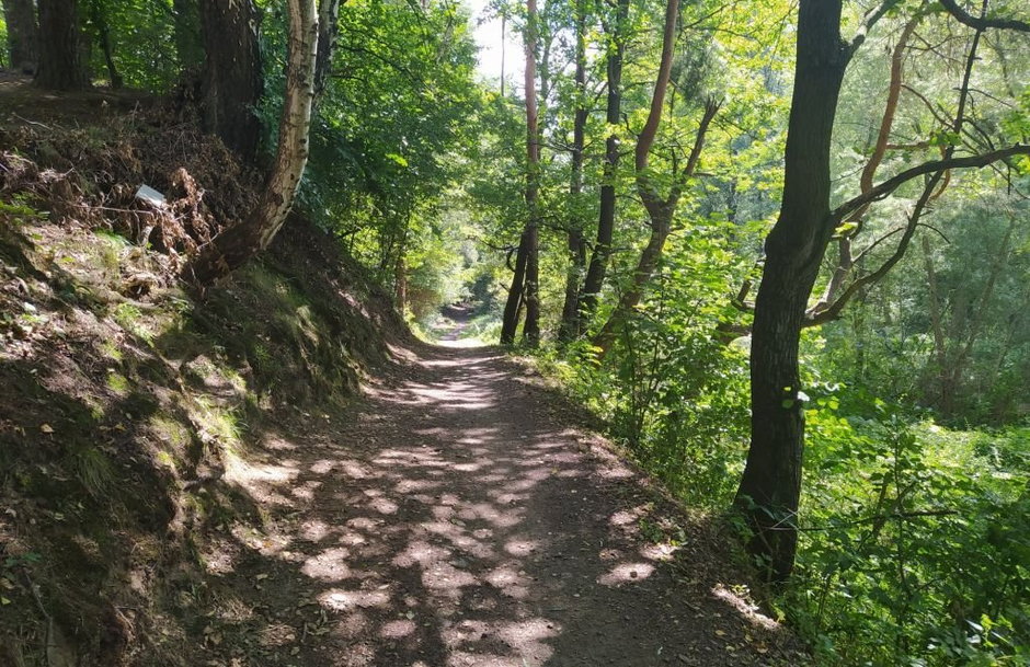 Trasa jest już przejezdna