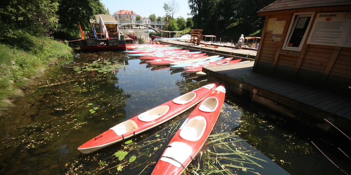 Kajaki na Odrze we Wrocławiu