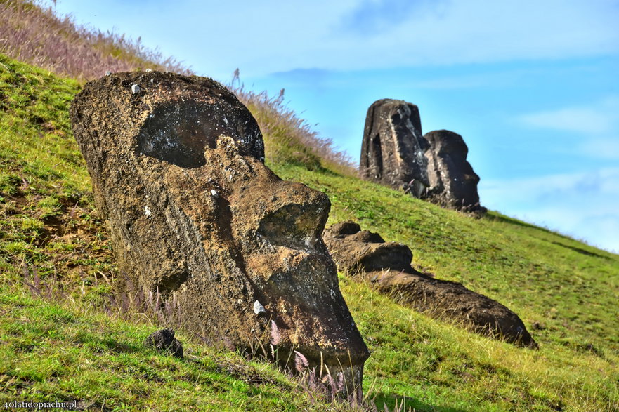 Wyspa Wielkanocna - kamieniołom w którym powstawały posągi Moai.