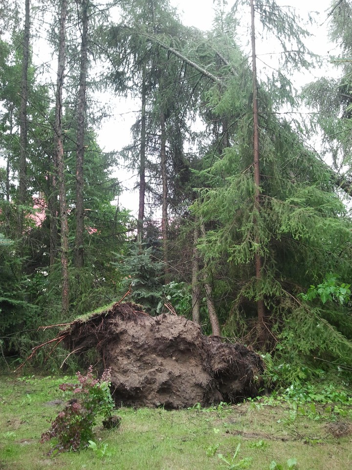 Laski koło Olkusza po nawałnicy, Fot. Daj znać