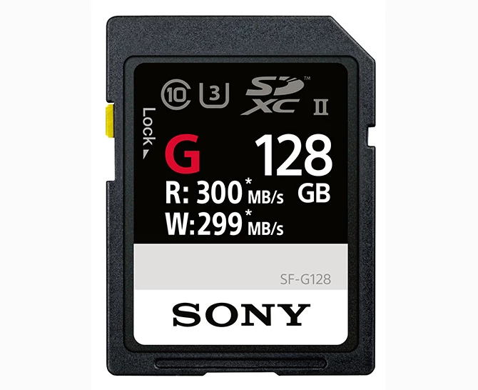 Karta pamięci Sony SF-G128