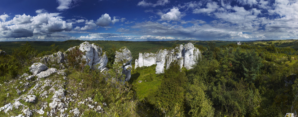 5. Grzęda Mirowska, Niegowa, Jura Krakowsko-Częstochowska