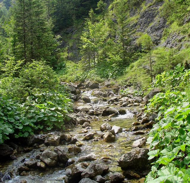 Galeria Tatry - piękno i moc natury, obrazek 24