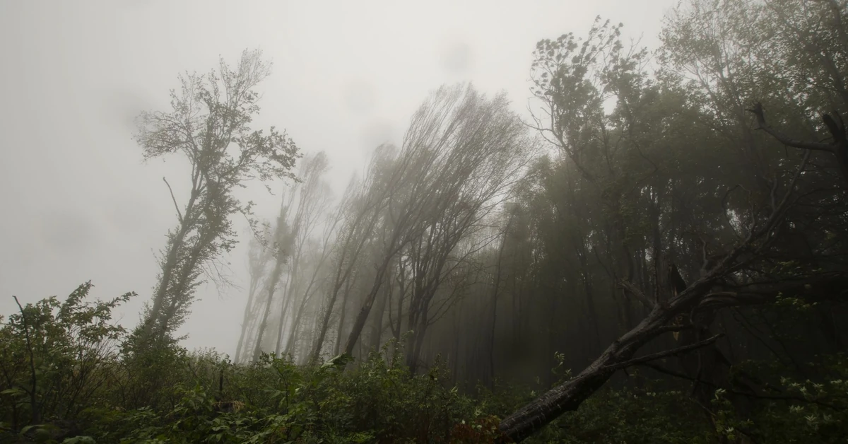Orkan sparaliżował loty na popularnej wyspie. Odwołano połączenia z Polską