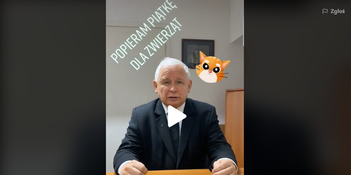 W przeszłości PiS robił podchody do zmiany przepisów tak, by uniemożliwić hodowlę zwierząt na futra, ale nic z tego nie wyszło.Czy tym razem będzie inaczej? Ustawa już trafiła do Sejmu.