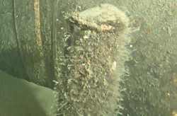 Tajemniczy, niezidentyfikowany obiekt w pobliżu Nord Stream 2. Duńska agencja publikuje zdjęcie