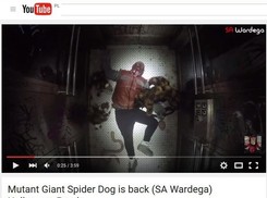 Wardęga znów straszy gigantycznym pająkiem. I to nie jednym [WIDEO]