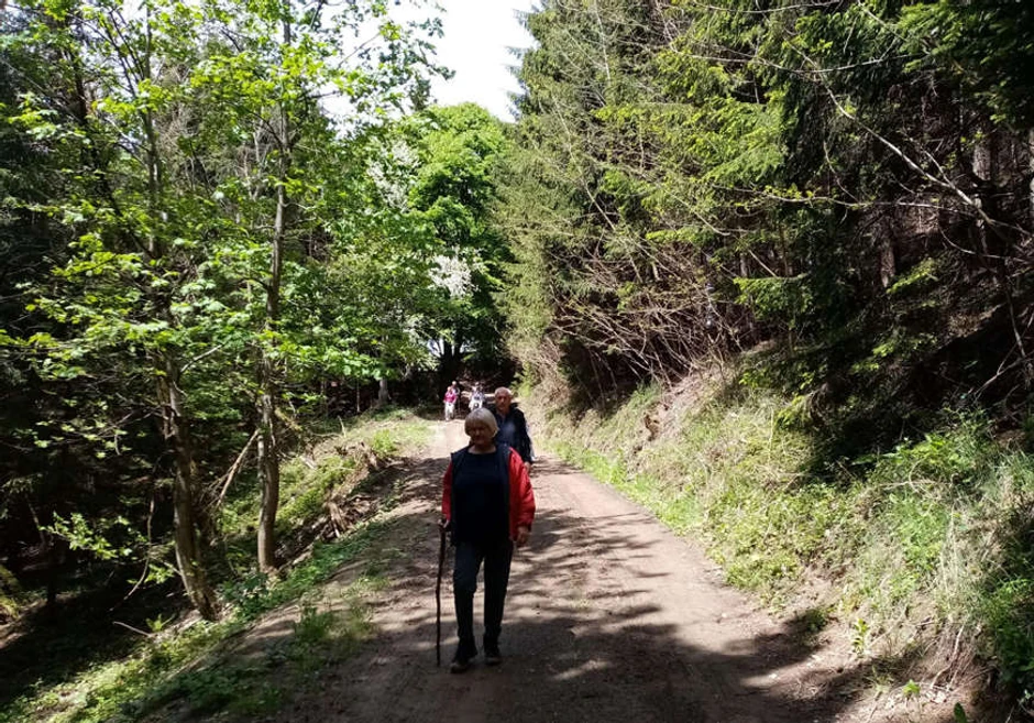 Planinarski marš na Kozari 