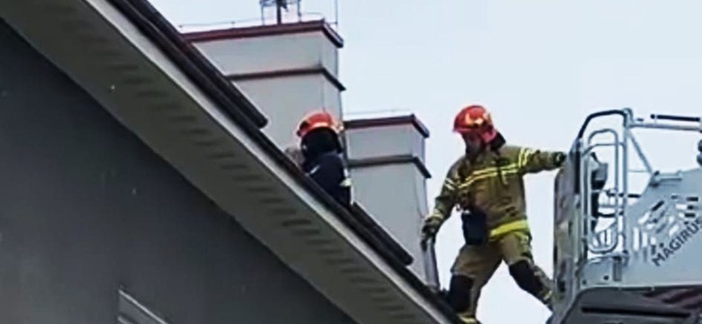 O krok od tragedii. Po dachu kamienicy chodziła... 4-letnia dziewczynka, jej matka była pijana