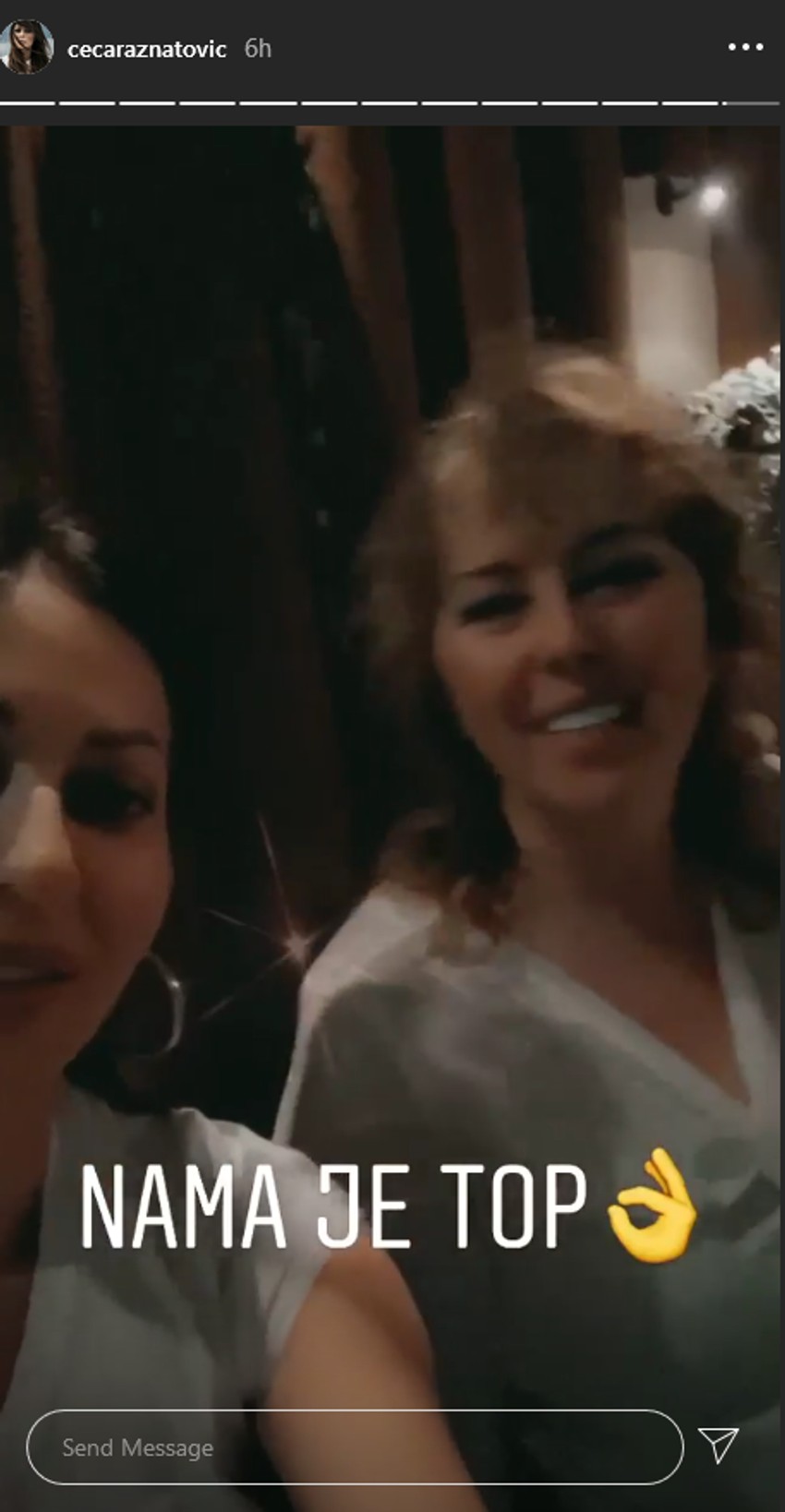 Ceca Ražnatović i prija