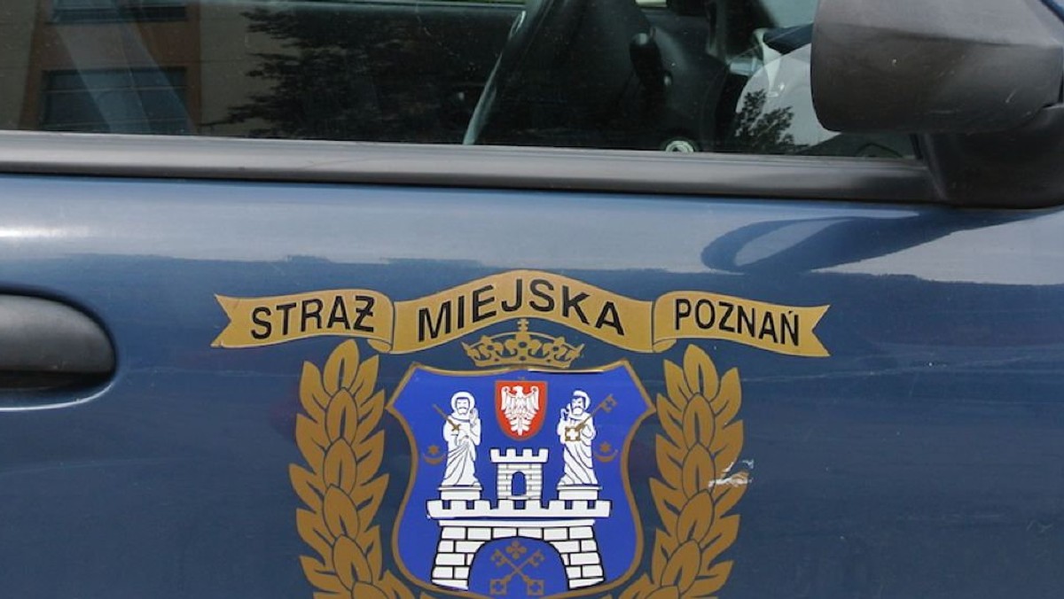 Straż miejska budzi wiele zastrzeżeń poznaniaków, a z pewnością nie pomagają w tym wybuchające co jakiś czas afery z udziałem strażników miejskich - od afery łapówkarskiej, która niedługo znajdzie swój finał w sądzie po groźby pod adresem liderki stowarzyszenia "Halo Polanka". Wiceprezydent Mariusz Wiśniewski obiecał porządek w straży miejskiej. Sprzątanie trwa.