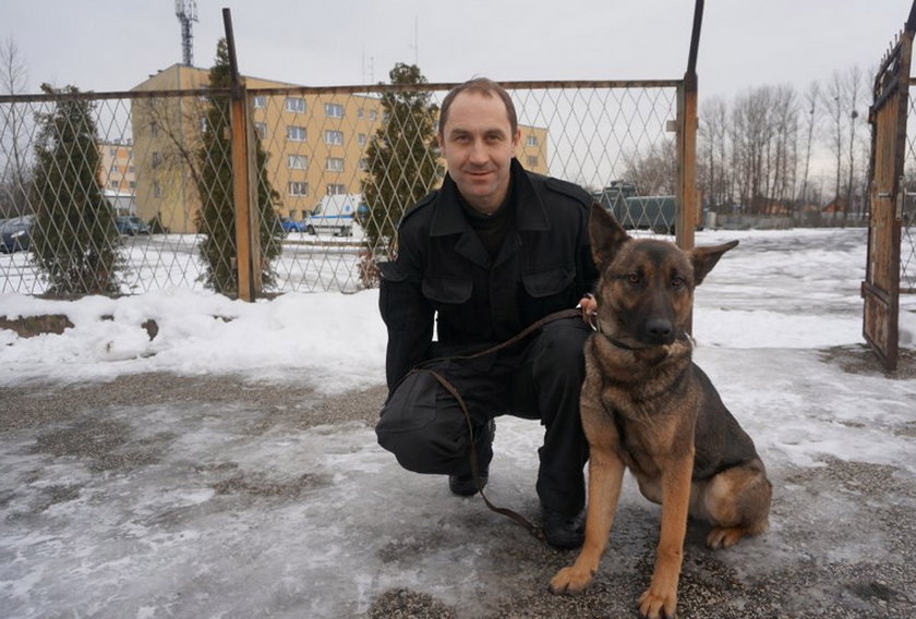 Aza, nowy pies częstochowskiej policji