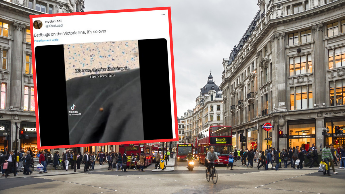 Nie tylko Paryż. Obrzydliwa plaga dociera do Londynu