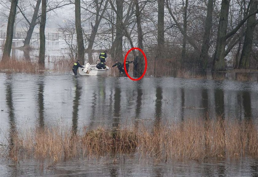 Dziadek siedział dwa dni na drzewie