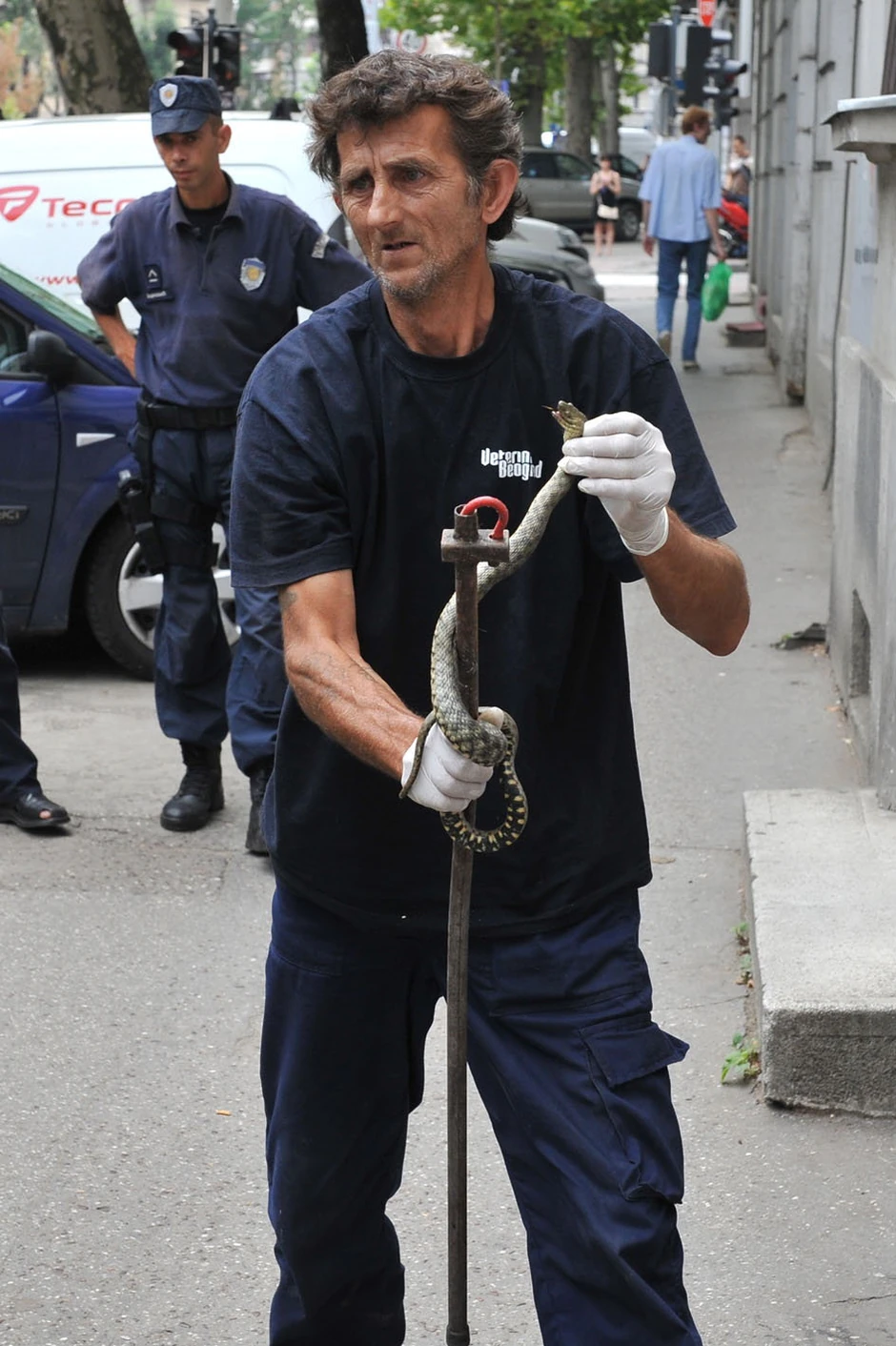 Radnik veterine nakon što je ukrotio zmiju u Ulici cara Dušana na Dorćolu