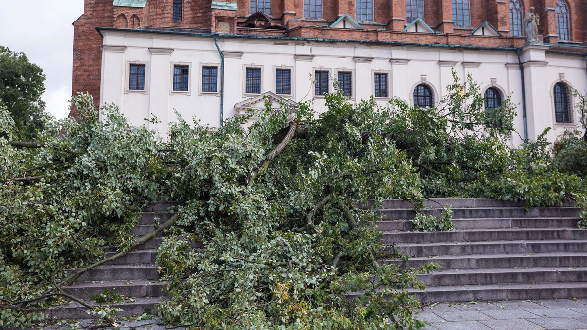 Dziś w Wielkopolsce rozpoczęła się kontrola bezpieczeństwa obozów i biwaków w regionie zapowiedziana przez szefa MSWiA Mariusza Błaszczaka. W całym województwie straż pożarna ma do sprawdzenia ok. 40 obozowisk.