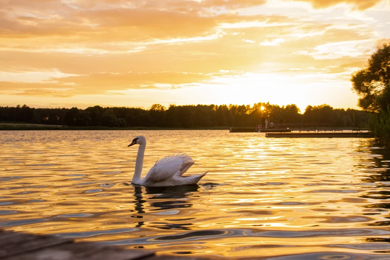 Jezioro na Podlasiu