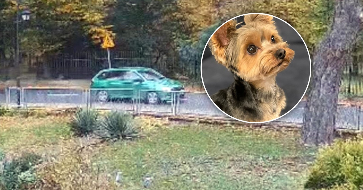 Kubuś zniknął w biały dzień z ulicy. Kluczowy zielony samochód