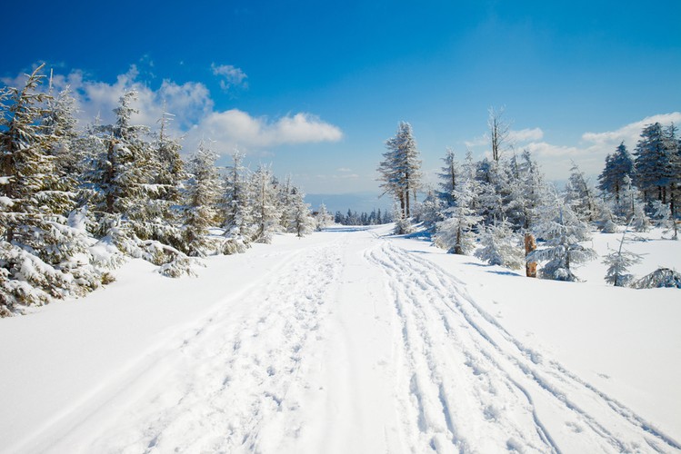 4. <b>Szczyrk</b>. <br>Baza narciarska Szczyrku służy nawet zawodowym wyczynowcom i olimpijczykom. Miasteczko przy granicy z Czechami i Słowacją jest bezpiecznym wyborem dla narciarzy, dla których stoki są dośnieżane.