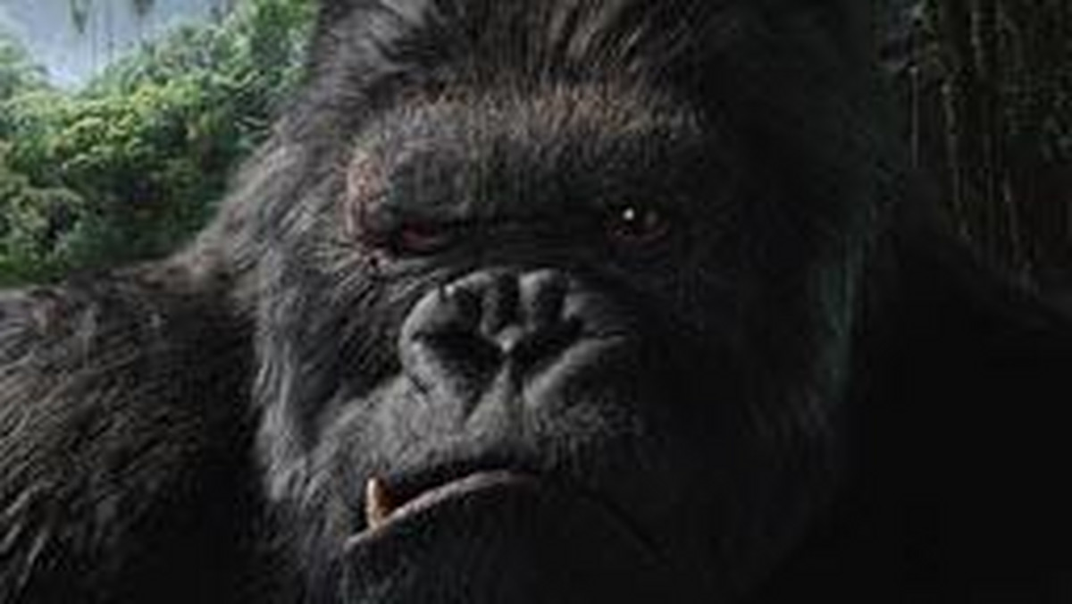 Zbliża się premiera najnowszej superprodukcji Petera Jacksona - "King Kong". Tymczasem w prasie pojawia się coraz więcej informacji na temat przebiegu