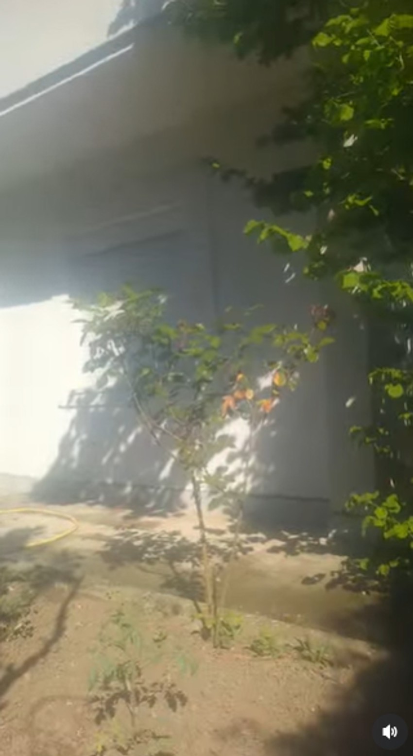 Zorica Marković pokazala imanje