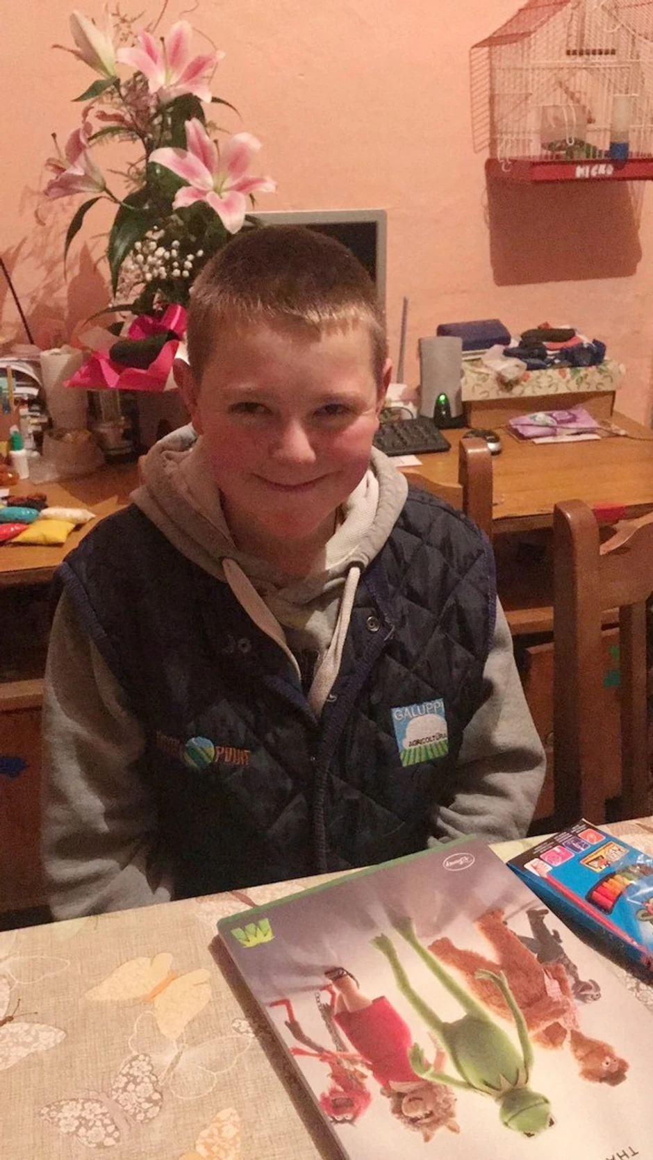 Dečaku je potrebna transplantacija i srca i pluća, a to je moguće izvršiti samo u inostranstvu