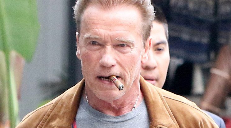 Schwarzenegger szereti balkézről született fiát, ám sajnálja, hogy félrelépett /Fotó: Northfoto