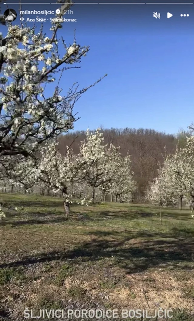Milan Bosiljčić pokazao svoje imanje 