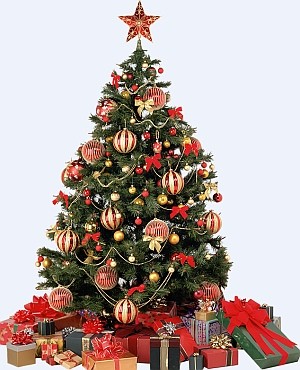 christma-tree-d00001E164d379384c590
