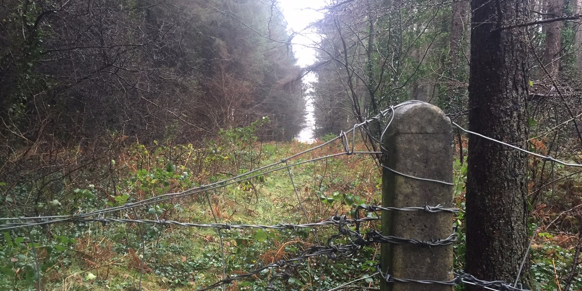 Apple wants to build the data centre in this forest.